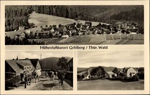 Ak Gehlberg Suhl in Thüringen, Panorama, Kuhaustrieb