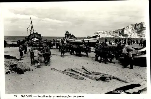 Ak Nazare Portugal, Recolhendo as embarcacoes de pesca, Einholen der Fischerboote mit Ochsen, Strand