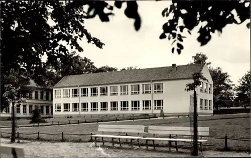 Ak Teterow in Mecklenburg, Neue Schule