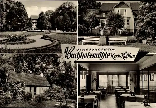 Ak Roßlau Elbe, Genegungsheim Buchholzmühle, Garten, Speisesaal