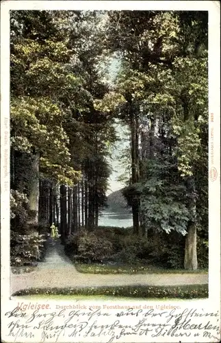 Ak Stendal in der Altmark, Durchblick vom Forsthaus auf den Ugleisee