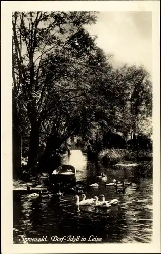 Ak Leipe Lübbenau im Spreewald, Dorfidyll