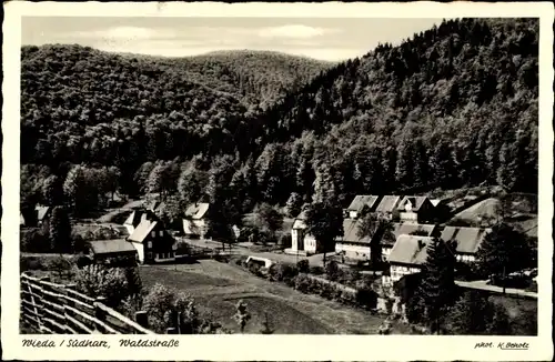 Ak Wieda Walkenried Harz, Waldstraße