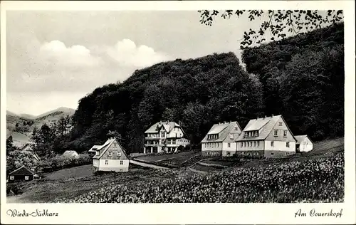 Ak Wieda Walkenried Harz, Am Querskopf