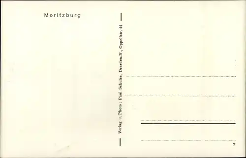 Ak Moritzburg Sachsen, Jagdschloss, Hirsche im Wald, Fütterung
