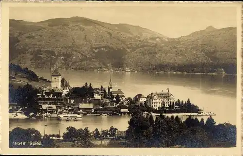 Ak Spiez am Thuner See Kanton Bern, Gesamtansicht
