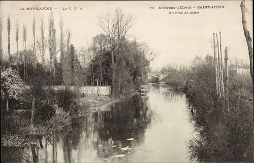 Ak Saint Aubin sur Mer Seine Maritime, Un bras de Seine