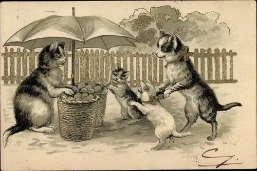 Präge Litho Vermenschlichte Katzen, Marktstand