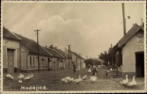 Foto Ak Hodějice Hodejitz Region Südmähren, Straßenpartie im Ort mit Gänsen