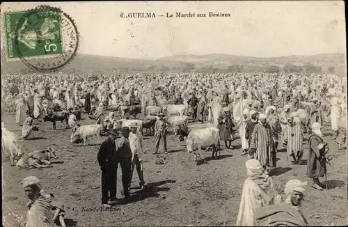 Ak Hammam Maskhoutine Guelma Algerien, Le Marche aux Bestiaux