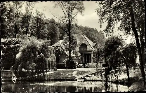 Ak Bains les Bains Vosges, Le Parc de la Potiniere, Park, See