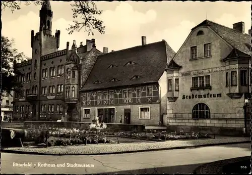 Ak Bitterfeld in Sachsen Anhalt, Rathaus und Stadtmuseum