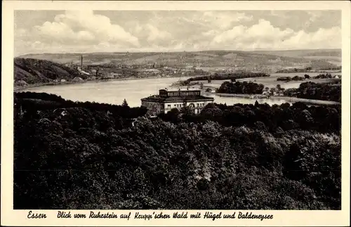 Ak Essen im Ruhrgebiet, Blick vom Ruhrstein auf den Kruppschen Wald, Hügel, Baldeneysee