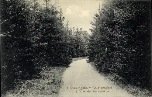 Ak Großhansdorf in Schleswig Holstein, Waldpartie zum Genesungsheim