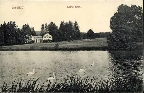 Ak Lutherstadt Eisenach in Thüringen, Wilhelmstal, Partie am See, Schwäne