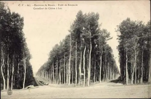 Ak Rouen Seine Maritime, Forêt de Roumare, Carrefour du Chêne à Leu