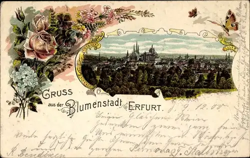 Litho Erfurt in Thüringen, Gesamtansicht, Blluemen, Schmetterlinge