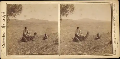 Stereo Foto Israel, Palästina, Mizpa, Nebi Samuel, Collection Bruno Hentschel