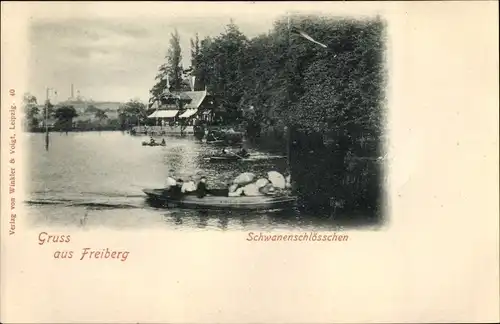 Ak Freiberg in Sachsen, Schwanenschlösschen