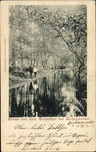 Ak Birkenwerder in Brandenburg, Im Briesetal