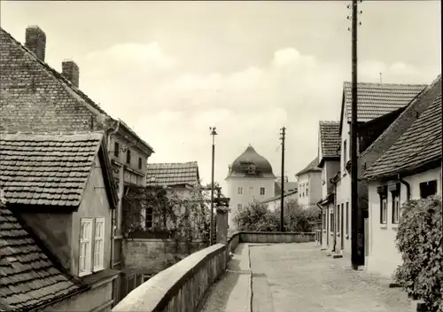 Ak Coswig in Anhalt, Oberfischerei, Blick zum Schloss