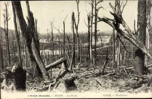 Ak Pinon Aisne, L'Aisne devastee, La Foret