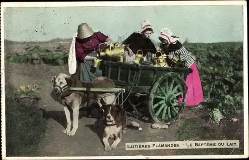 Ak Laitieres Flamandes, le Bapteme du Lait, Milchfrauen, Zughunde, Hundekarren, Trachten