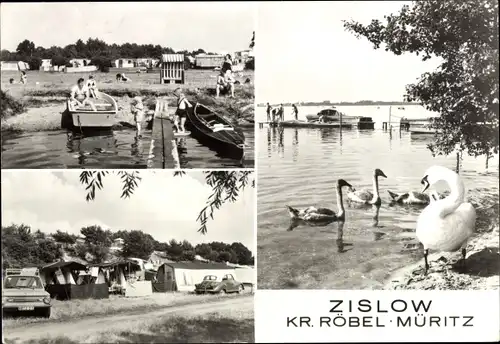 Ak Zislow an der Müritz, See mit Steg und Schwänen, Campingplatz, Badegäste