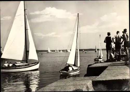 Ak Wieck Greifswald in Mecklenburg Vorpommern, Bodden, Bootsanleger, Segelboote