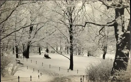 Foto Ak Riga Lettland, Basteianlagen, Winteransicht, Schlitten