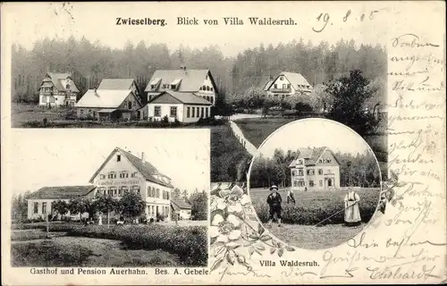 Ak Zwieselberg Alpirsbach im Schwarzwald, Gasthaus Auerhahn, Villa Waldesruh