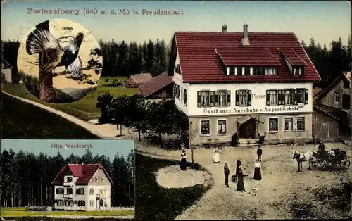 Ak Zwieselberg Alpirsbach im Schwarzwald, Gasthaus zum Auerhahn, Villa Waldesruh