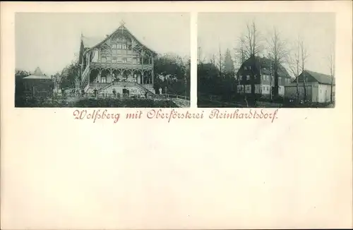 Ak Reinhardsdorf Schöna in Sachsen, Wolfsberg mit Oberförsterei