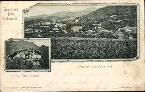 Ak Bad Liebenstein im Thüringer Wald, Gesamtansicht vom Ascherberg, Herzogliche Villa Feodora