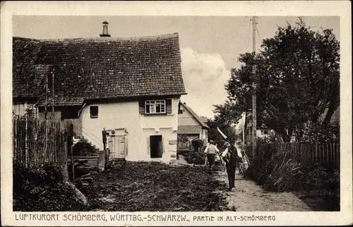 Ak Alt Schömberg im Nordschwarzwald, Ortspartie, Häuser