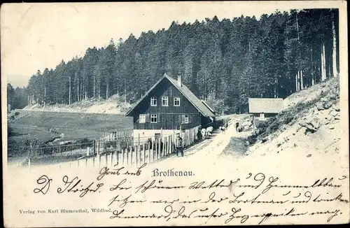 Ak Bad Wildbad im Schwarzwald, Brothenau