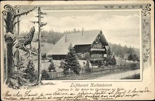 Ak Kaltenbronn Gernsbach im Murgtal Schwarzwald, Jagdhaus Sr. Kgl. Hoheit des Grossherzogs von Baden