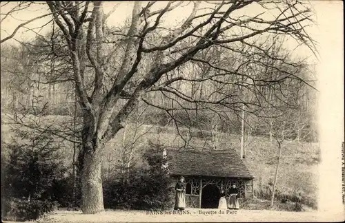 Ak Bains les Bains Vosges, Buvette du Parc, Ausschank, Frauen vor Hütte, großer Baum