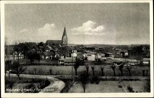 Ak Neukalen in Mecklenburg, Panorama