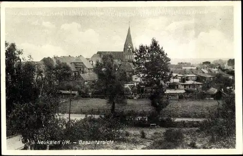 Ak Neukalen in Mecklenburg, Panorama