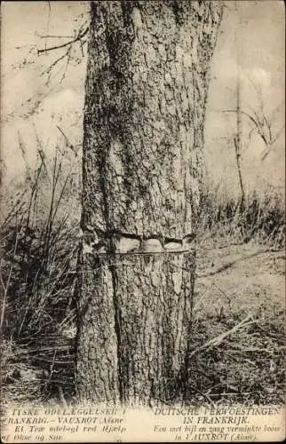 Ak Vauxrot Aisne, zerstörter Baumstamm auf dem Schlachtfeld, 1. WK
