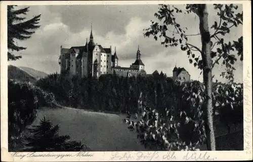 Ak Lauenstein Ludwigsstadt in Oberfranken, Burg Lauenstein, Fränkisch Thüringische Grenzwarte