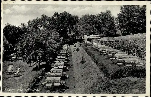 Ak Werdau in Sachsen, Terrassengarten Bergschlösschen Königswald