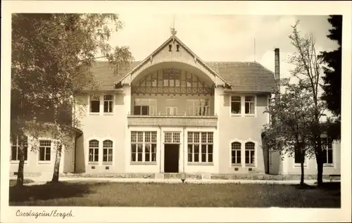 Ak Carolagrün Auerbach im Vogtland, Gebäudeansicht von vorne, Bäume