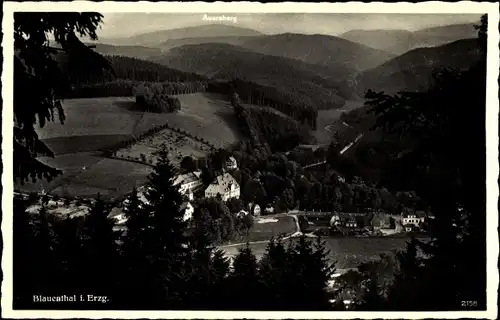 Ak Blauenthal Eibenstock im Erzgebirge, Parkhotel Forelle aus der Vogelperspektive, Wälder