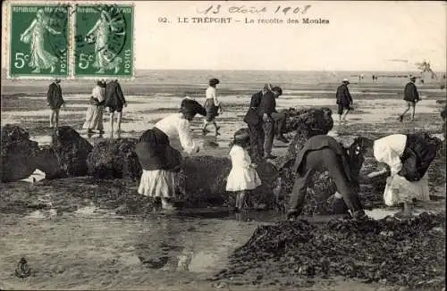 Ak Le Tréport Seine Maritime, La recolte des Moules