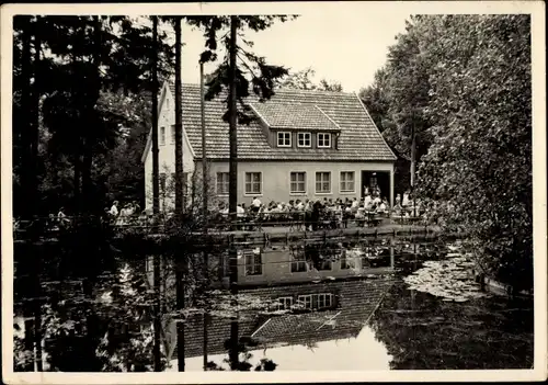 Ak Schmiedefeld am Rennsteig Suhl Thüringen, Im Naturpark, See