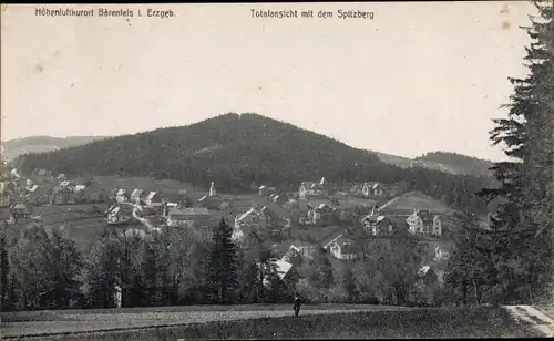 Ak Bärenfels Altenberg im Erzgebirge, Totalansicht mit dem Spitzberg