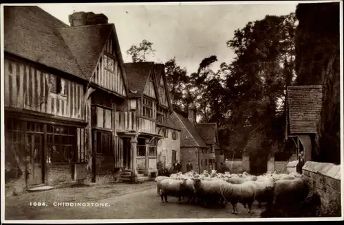 Ak Chiddingstone Kent, street view, sheep