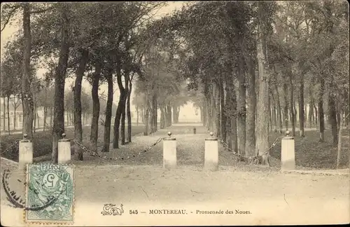 Ak Montereau Seine et Marne, Promenade des Noues